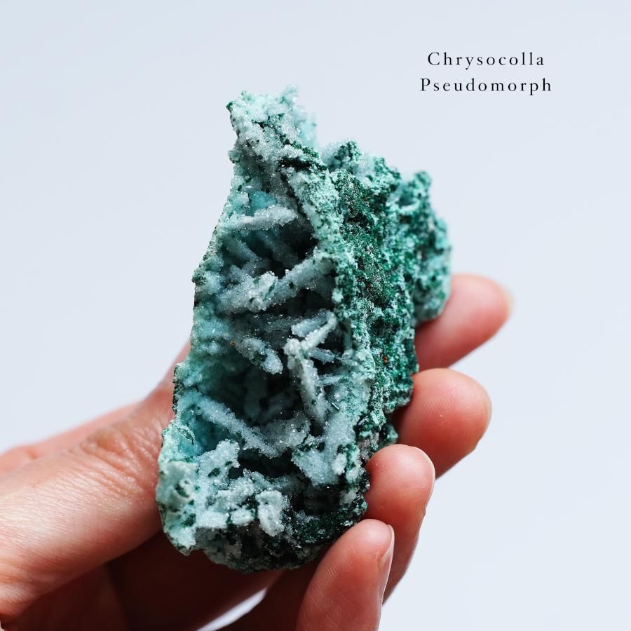 Chrysocolla pseudomorph with Malachite, Quartz ꥽顦ɥ⡼󥴻