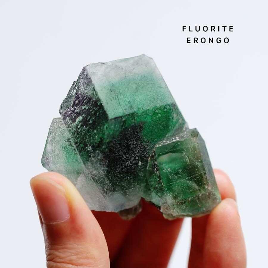 Fluorite with Tourmaline ե饤 with ȥޥ ʥߥӥ󥴻