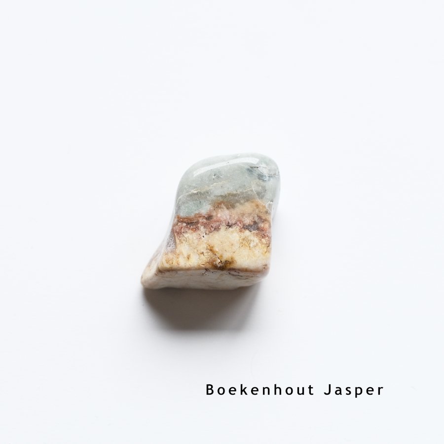 Boekenhout Jasper ֥åϥȥ㥹ѡեꥫ