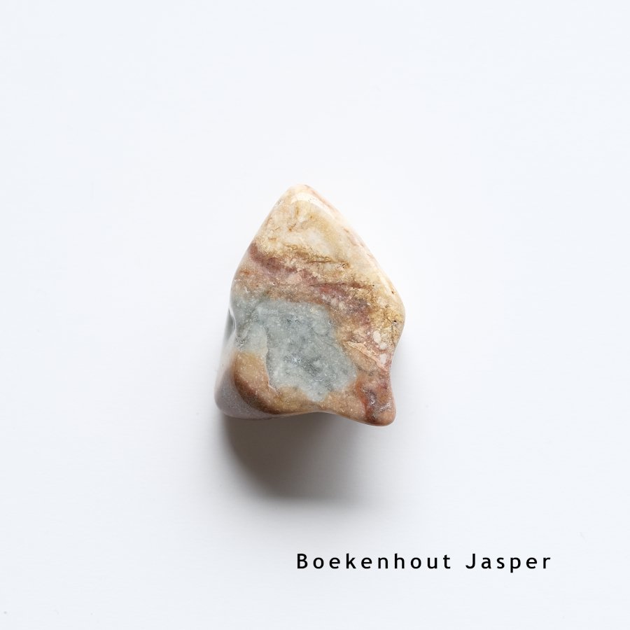 Boekenhout Jasper ֥åϥȥ㥹ѡեꥫ