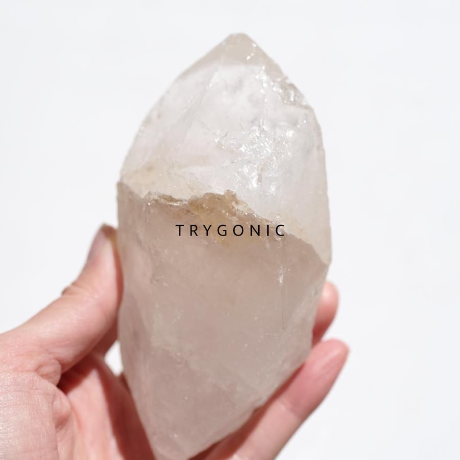 <img class='new_mark_img1' src='https://img.shop-pro.jp/img/new/icons22.gif' style='border:none;display:inline;margin:0px;padding:0px;width:auto;' />Trygonic Quartzȥ饤˥åġ֥饸롦ߥʥ饤