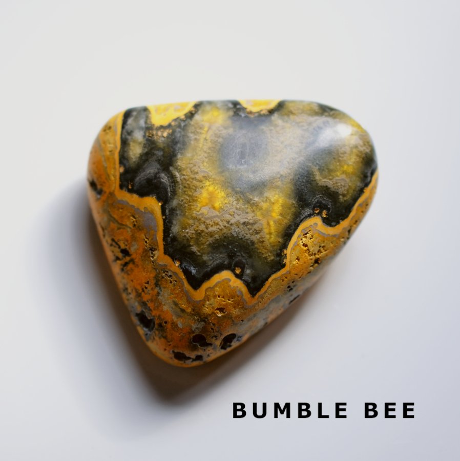 Bumble Bee Х֥ӡɥͥ绺