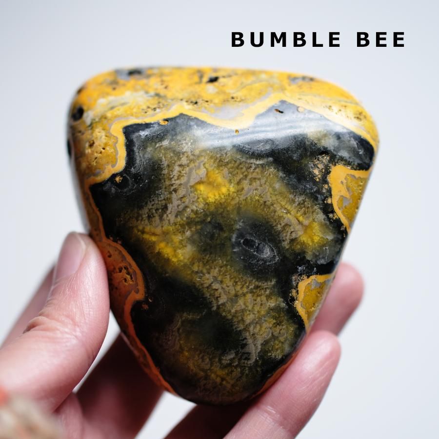 Bumble Bee Х֥ӡɥͥ绺