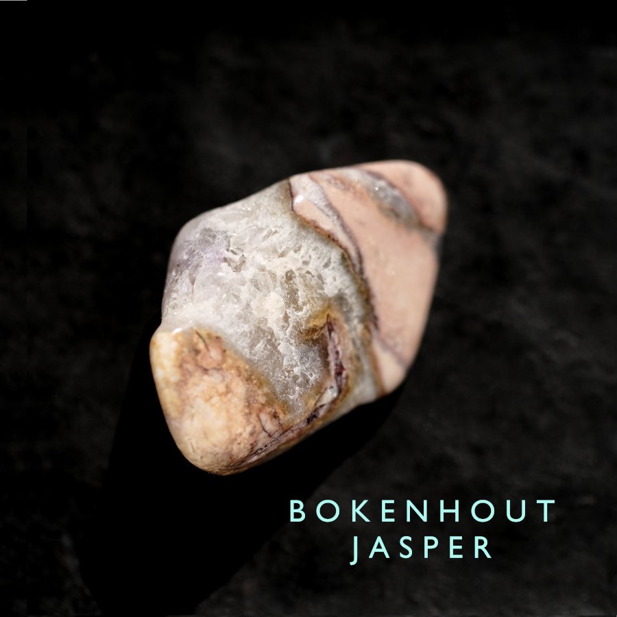 Boekenhout Jasper ֥åϥȥ㥹ѡ Gեꥫ