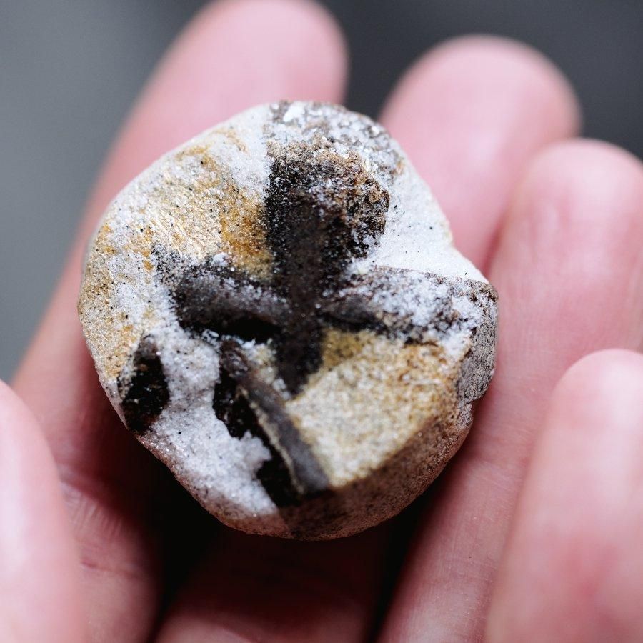 Staurolite スタウロライト 十字石／Khibiny Kola peninsula