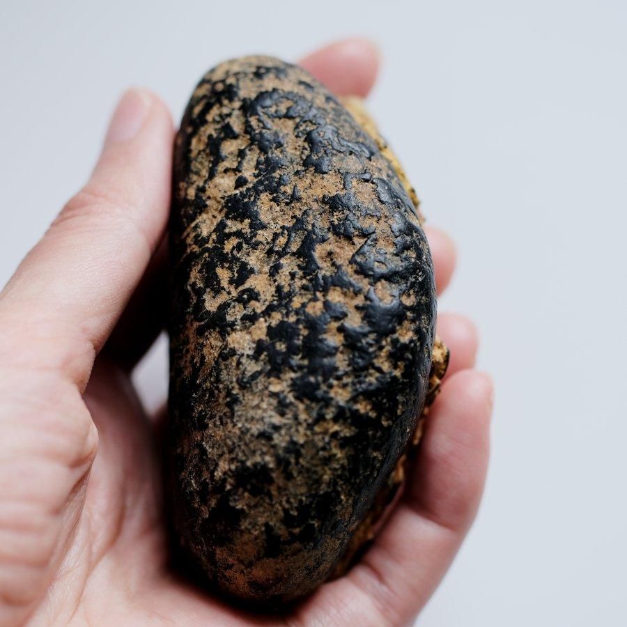 ✳️金鉱石と思われる岩石 1463g 金鉱石 原石 鉱物 鉱物標本 天然石 - メルカリ