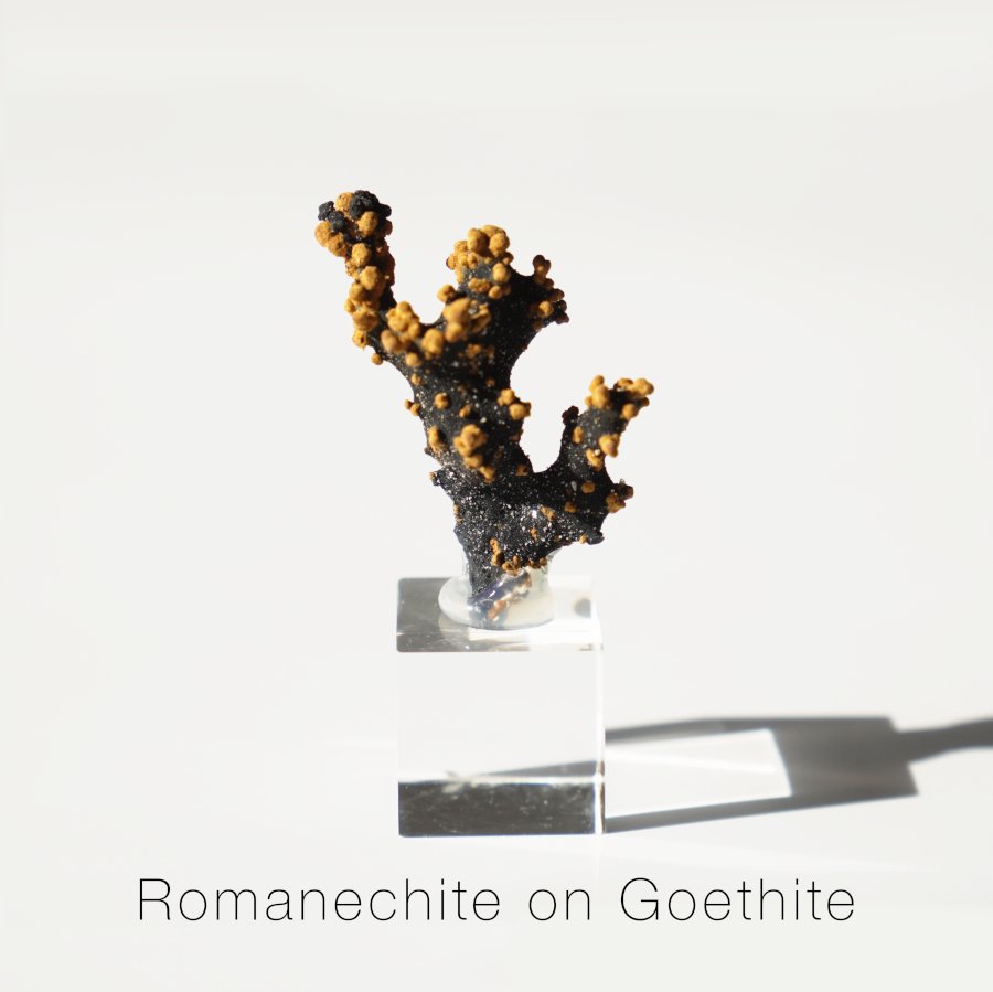 <img class='new_mark_img1' src='https://img.shop-pro.jp/img/new/icons8.gif' style='border:none;display:inline;margin:0px;padding:0px;width:auto;' />Romanechite on Goethite ޥͥ  ȡϥ󥬥꡼