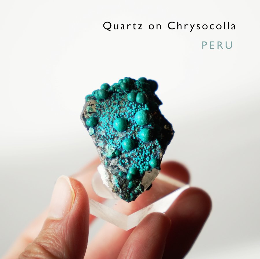 Quartz on Chrysocolla   ꥽顿Tentadora Mine Peru ڥ롼