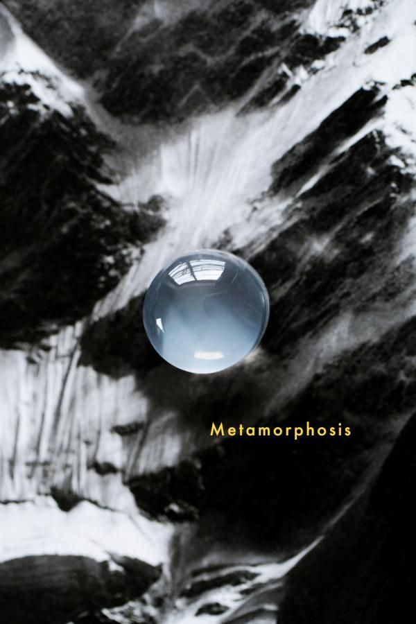 <img class='new_mark_img1' src='https://img.shop-pro.jp/img/new/icons8.gif' style='border:none;display:inline;margin:0px;padding:0px;width:auto;' />Metamorphosis ᥿ե å 02֥饸롦ߥʥ饤