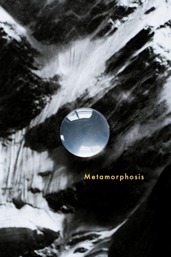 <img class='new_mark_img1' src='https://img.shop-pro.jp/img/new/icons8.gif' style='border:none;display:inline;margin:0px;padding:0px;width:auto;' />Metamorphosis ᥿ե å 07֥饸롦ߥʥ饤