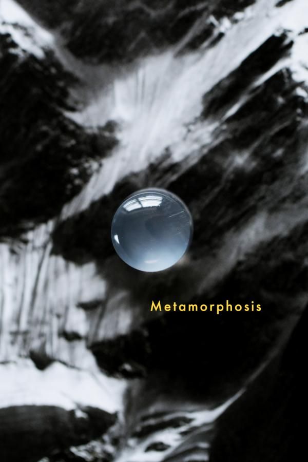 <img class='new_mark_img1' src='https://img.shop-pro.jp/img/new/icons8.gif' style='border:none;display:inline;margin:0px;padding:0px;width:auto;' />Metamorphosis ᥿ե å 08֥饸롦ߥʥ饤