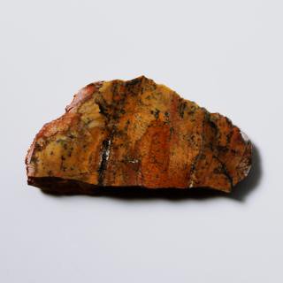 2014TUCSONStrelley Pool Oldest Stromatolite ȥޥȥ饤ȡȥꥢ