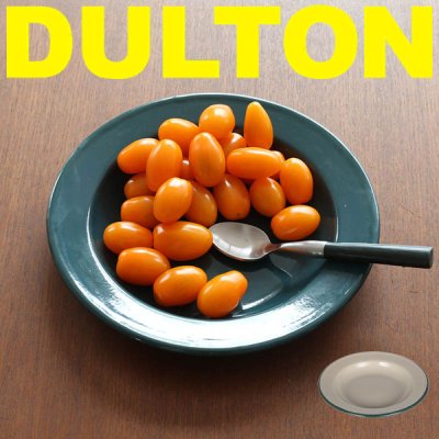 DULTON ダルトン エナメル プレート S K19-0102