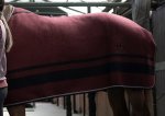【C/T】19AW Stripe Wool Rug