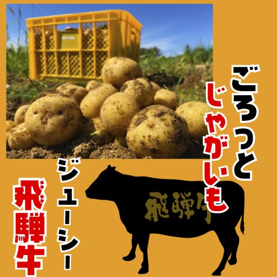 飛騨牛コロッケ 70g×3袋 冷凍　【送料無料】