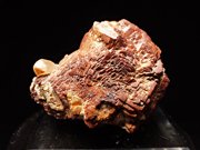 三重県船津産水晶＆武石 ＜黄鉄鉱仮晶＞ (Quartz & Goethite Pseudomorph after Pyrite / Japan)