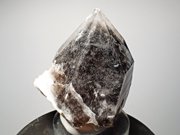 岐阜県苗木産 煙水晶 (Smoky Quartz / Japan) - 鉱物標本販売店 | Natural Soma | 共生水晶と仮晶