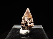 ブラジル産ルチル ＜アナテース仮晶＞ (Rutile Pseudomorph after Anatase / Brazil) - 鉱物標本販売店 |  Natural Soma | 共生水晶と仮晶