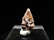 金紅石 (ルチル/Rutile) - 鉱物標本販売店 | Natural Soma 金紅石 (ルチル/Rutile) - 鉱物標本販売店 | Natural Soma