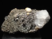 コソボ産パイライト ＜ピロータイト仮晶＞＆アーセノパイライト (Pyrite Pseudomorph after Pyrrhotite & Arsenopyrite / Kosovo)