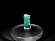 メキシコ産ターコイズ ＜アパタイト仮晶＞ (Turquoise Pseudomorph after Fluorapatite / Mexico)