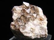 岐阜県ちんの峠産 煙水晶 (Smoky Quartz / Japan) - 鉱物標本販売店 | Natural Soma | 共生水晶と仮晶