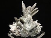 󥴥뻺ġΥ饤ȡ (Quartz, Actinolite & Goethite / Inner Mongolia)