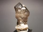 オレンジリバー産セプタースモーキークォーツ (Scepter Smoky Quartz / Orange River)