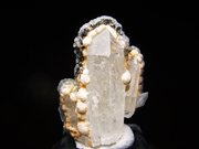 ܻġǥ饤ȡѥ饤ȡ륵 (Quartz, Siderite, Pyrite & Calcite / Kosovo)