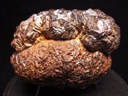 メキシコ産ゲーサイト ＜パイライト仮晶＞ (Goethite Pseudomorph after Pyrite / Mexico)
