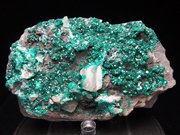 ナミビア産ダイオプテーズ (Dioptase / Namibia) - 鉱物標本販売店