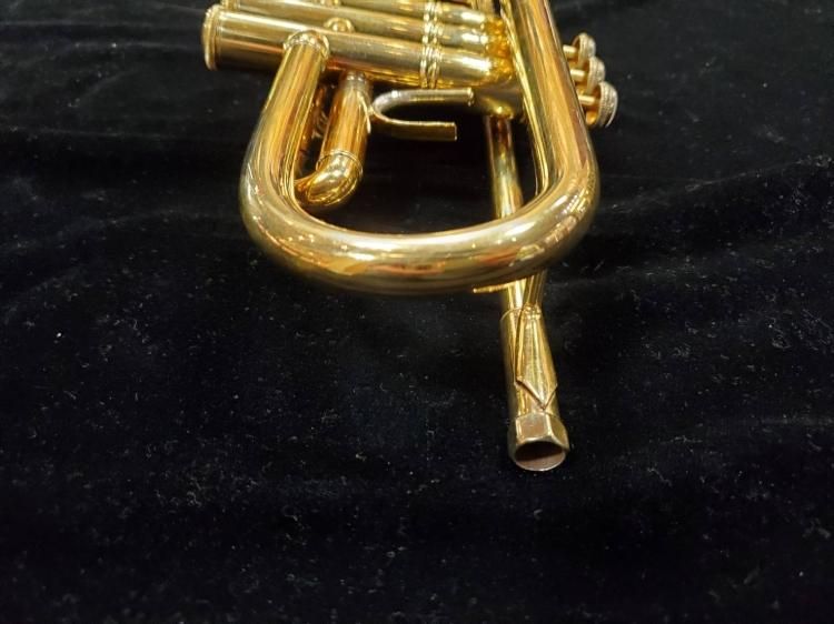 バック Bbトランペット 180ML37GP ライトウェイト【服部管楽器