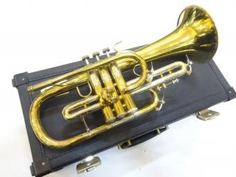 BachХåե塼ۥ182ۡš