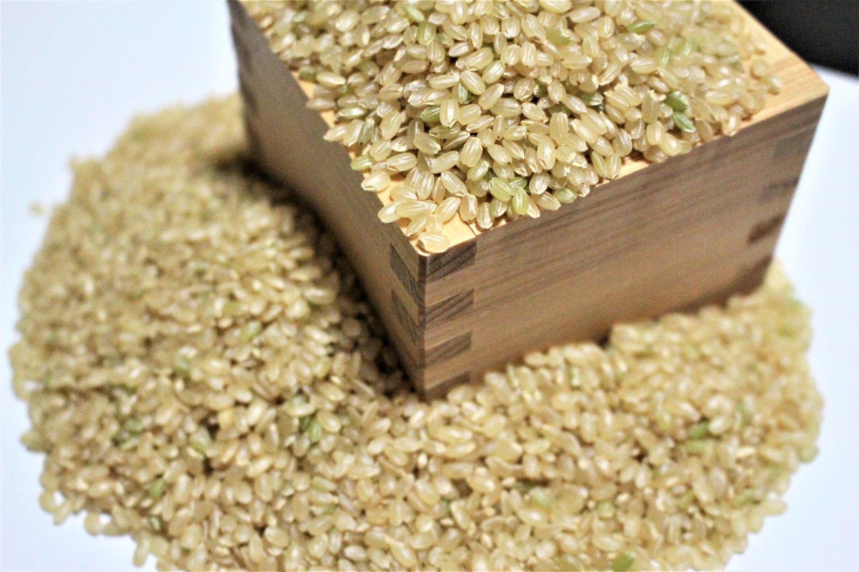 お米の種類 玄米・古代米 - 出産内祝い米・結婚式体重米・米ギフト 