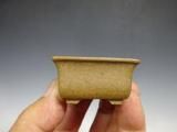 小品盆栽専門店 湘風園オンラインショップ ｜ 小品盆栽通販