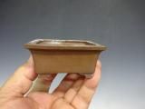 浮彫彩竜紋鉢 盆栽鉢 植木鉢 小品盆栽鉢 大品盆栽鉢 小品盆栽専門店 湘風園オンラインショップ ｜ 小品盆栽通販