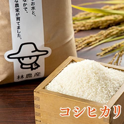令和6年産 富山県産コシヒカリ【10kg】 - 有限会社 林農産 令和6年産 富山県産コシヒカリ【10kg】 - 有限会社 林農産