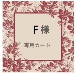 <img class='new_mark_img1' src='https://img.shop-pro.jp/img/new/icons14.gif' style='border:none;display:inline;margin:0px;padding:0px;width:auto;' />Fѥ 2Сեȥʥǥ,