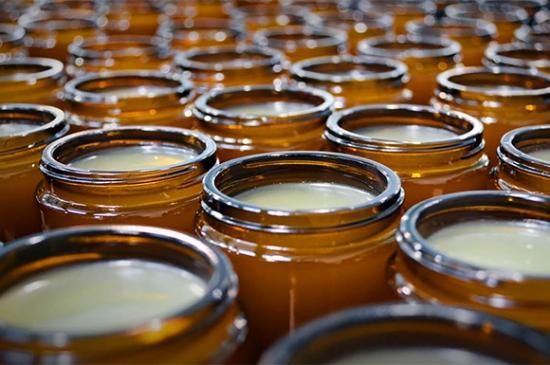 ローランドオーガニックウェイ クイックグルー100ml
