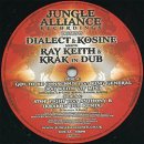 DIALECT & KOSINE / GOT TO BE CONSCIOUS FEAT.KING GENERAL (RAY KEITH VIP MIX)