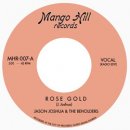 JASON JOSHUA & THE BEHOLDERS / ROSE GOLD