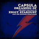 CAPSULA / DREAMING OF ZIGGY STARDUST