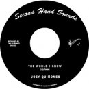 JOEY QUINONES / THE WORLD I KNOW