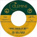 THE SOUL CHANCE feat. WESLEY BRIGHT / WHO COULD IT BE? [RANDOM COLORED VINYL]