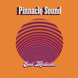 PINNACLE SOUND / SOUL MEDICINE