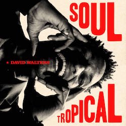 DAVID WALTERS / SOUL TROPICAL