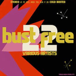 VARIOUS / BUST FREE 22