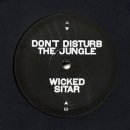 KAVAL & STACKTRACE / DON'T DISTURB YHE JUNGLE