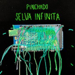 PINCHADO & TRIBILIN SOUND / SELVA INFINITA