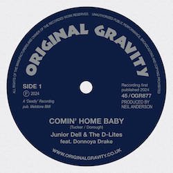 JUNIOR DELL & THE D-LITES / COMIN' HOME BABY